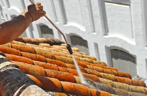 Nettoyage de toitures - Neuvy-Pailloux